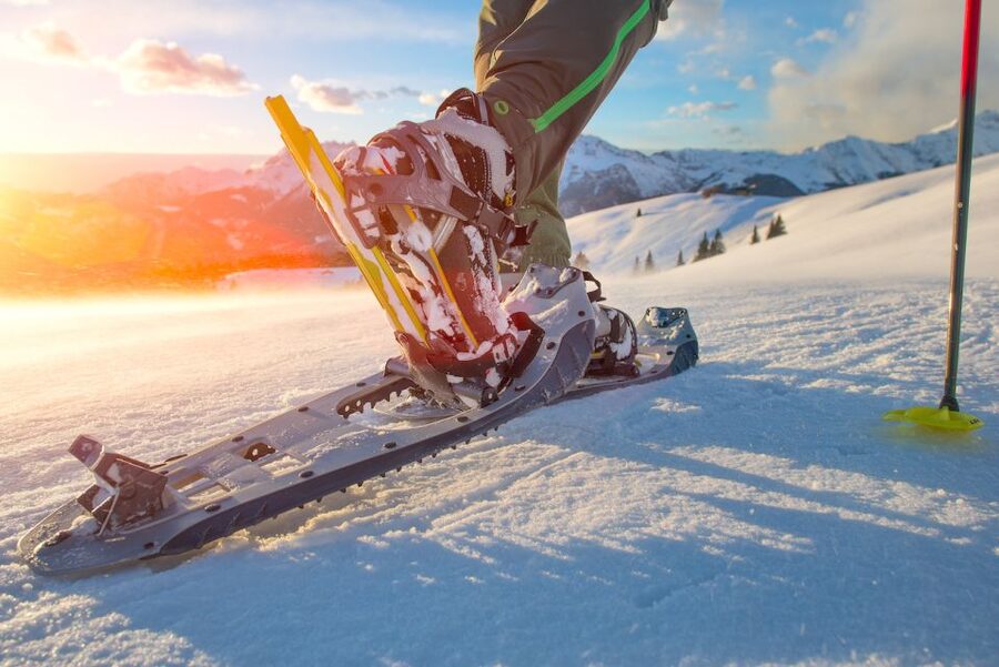 Whistler: Backcountry Snowshoeing Tour with Guide - Should you book the Whistler backcountry snowshoe tour?