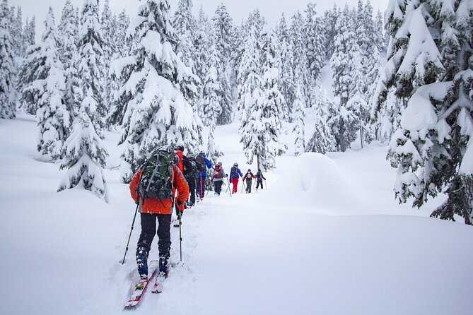 Whistler Intro to Backcountry Skiing and Splitboarding - Meeting point and practical planning