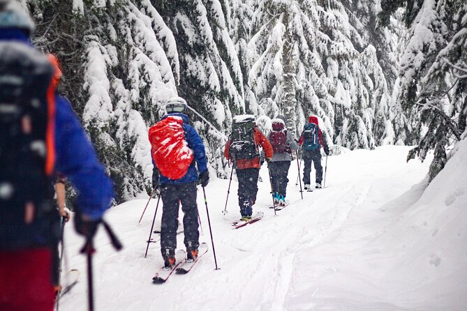 Whistler Intro to Backcountry Skiing and Splitboarding - The real lesson is backcountry judgment