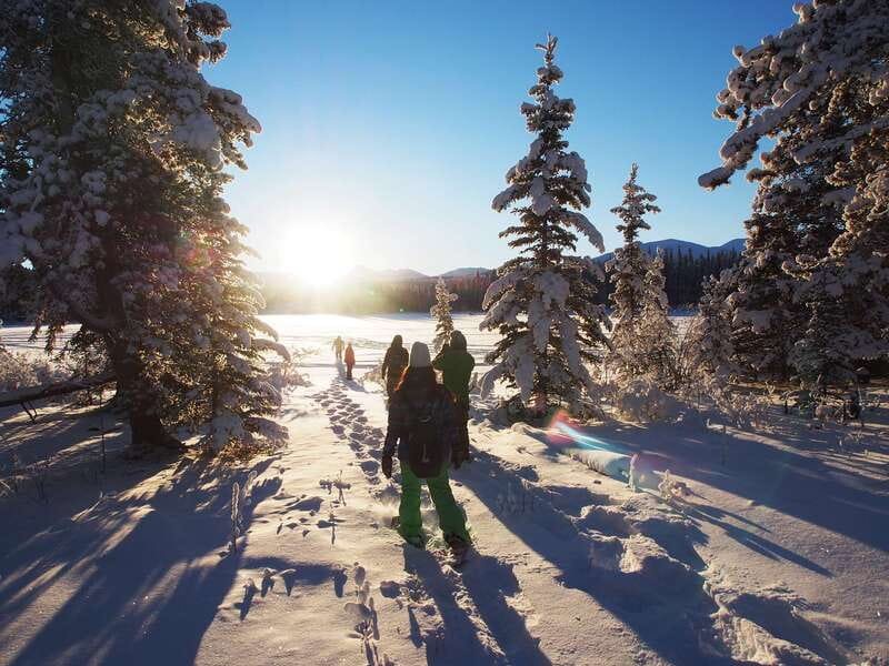 Whitehorse: Half-Day Snowshoeing Tour - Key points to know before you book