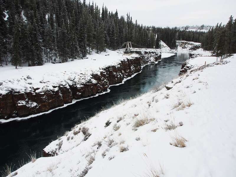 Whitehorse: Half-Day Snowshoeing Tour - Wildlife signs are part of the experience