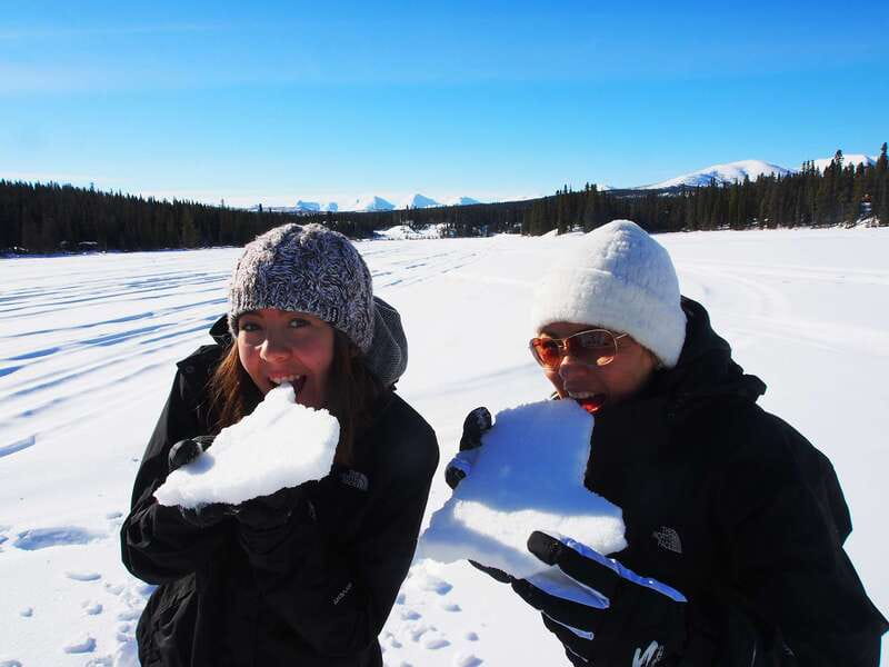 Whitehorse: Half-Day Snowshoeing Tour - Warm drinks and a snack make a real difference