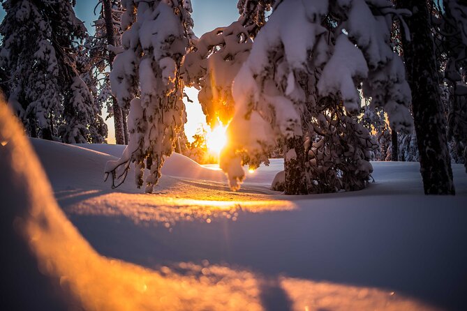 Wilderness snowshoe adventure - Photography tips from a working guide
