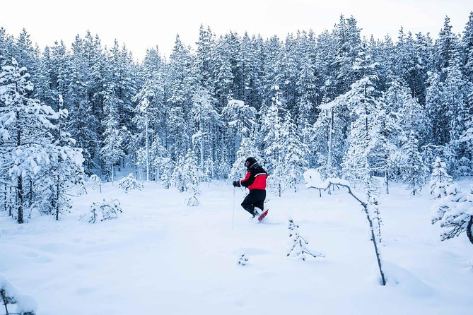 Wilderness snowshoe adventure - What the $126.16 price includes