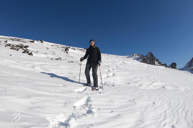 Winter Snowshoeing Adventure - Views, wildlife, and small details