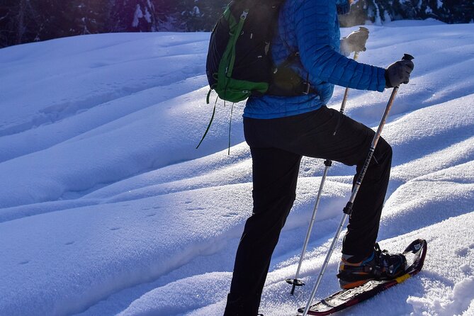 Yellowstone Winter Wildlife Full Day Private Tour & Snowshoe - What the $972.95 price really covers