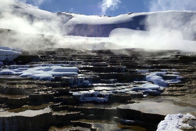 Yellowstone Winter Wildlife Full Day Private Tour & Snowshoe - Mammoth Hot Springs and the Canary Spring stop
