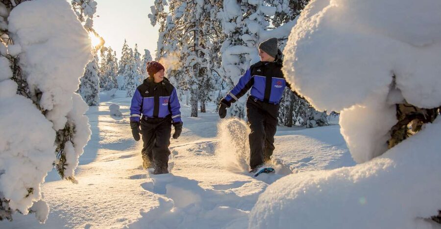 Ylläs: Forest Hike with Snowshoes - From Ylläsjärvi village into the boreal forest