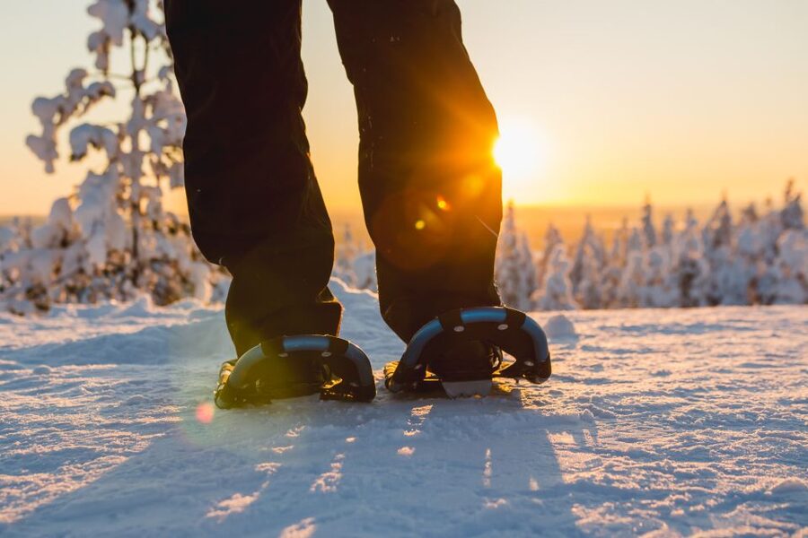 Ylläs: Forest Hike with Snowshoes - The frozen marshland campfire
