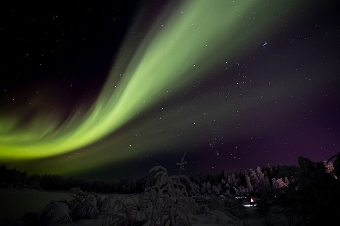 Ylläs: Guided Night Skiing Tour Under the Arctic Sky - Is the $139.07 price good value?
