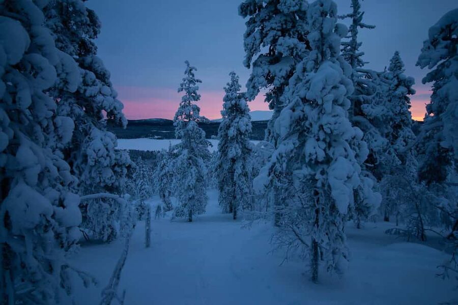 Ylläs: Guided Nordic Skiing Tour in Lapland Wilderness - Starting at Yllästunturi Visitor Center