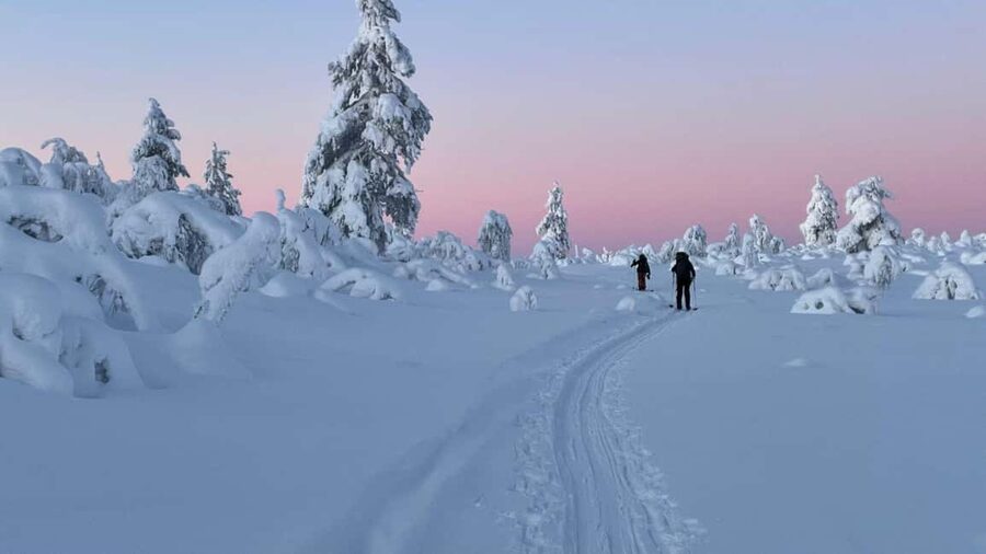 Ylläs: Guided Nordic Skiing Tour in Lapland Wilderness - Forests, Frozen Lakes, and Photo Stops