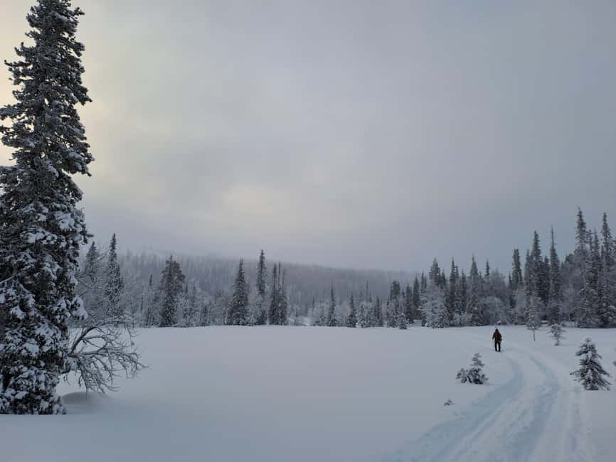 Ylläs: Guided Nordic Skiing Tour in Lapland Wilderness - A Campfire Lunch in the Wilderness