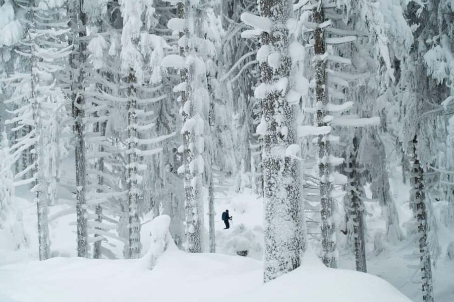 Ylläs: Guided Snowshoeing Adventure to Kesänki Fell - Key points