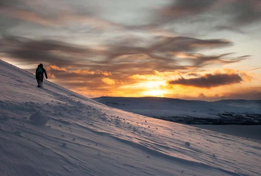Ylläs: Guided Snowshoeing Adventure to Kesänki Fell - Snowshoes, poles, and the first forest section