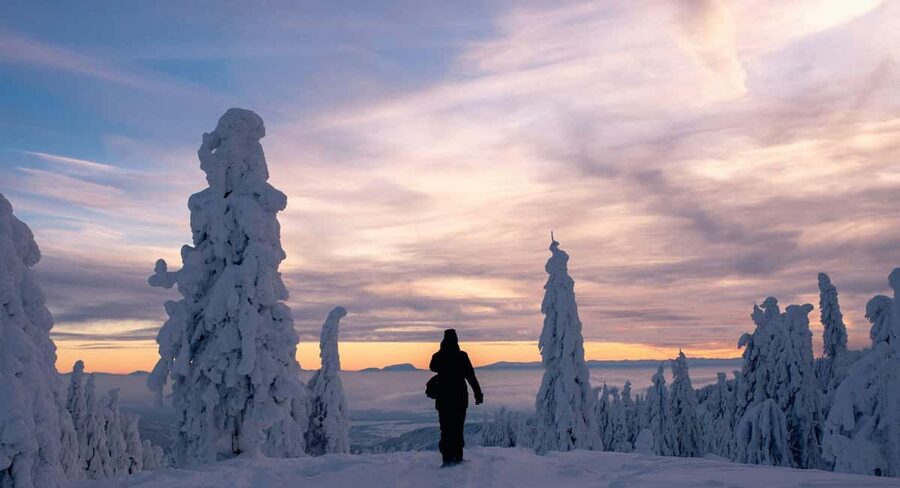 Ylläs: Guided Snowshoeing Adventure to Kesänki Fell - Descending through the snow