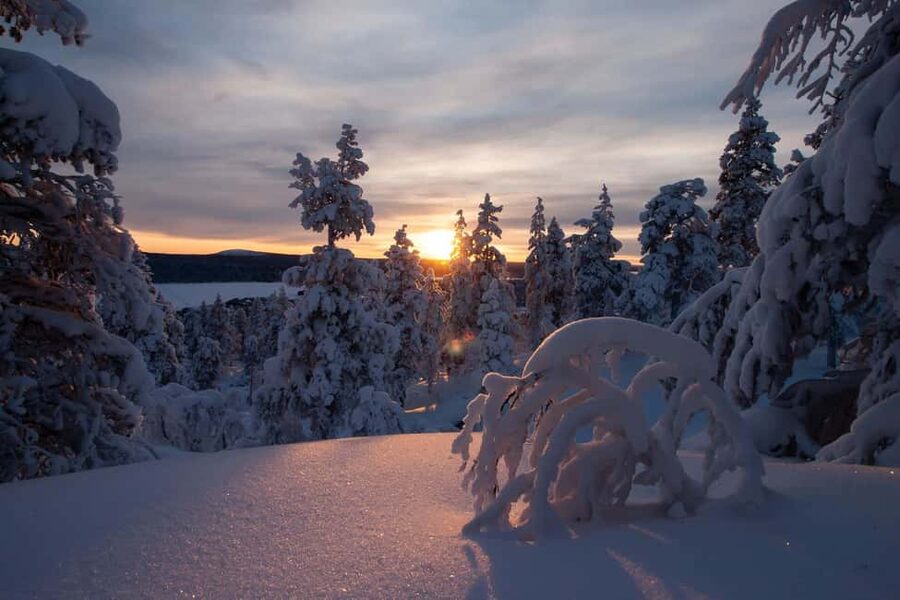 Ylläs: Guided Snowshoeing Adventure to Kesänki Fell - Meeting in Ylläs and reaching the trail