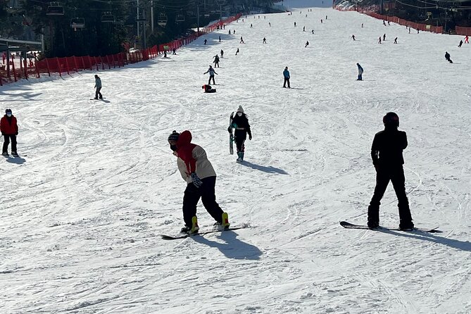 Yongpyong Ski Resort from Seoul with Optional Lesson and Packages - Mt. Balwangsan, the gondola, and the skywalk