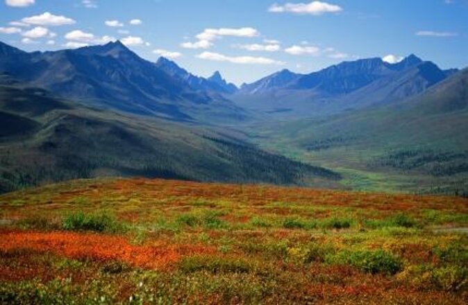 Yukon Snowshoeing Adventure | half day - Key points to know before you book
