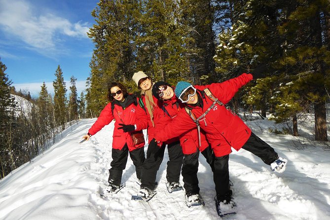 Yukon Snowshoeing Adventure | half day - Snowshoes make the forest more reachable