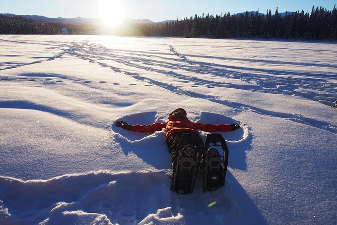Yukon Snowshoeing Adventure | half day - What is included for $124.72
