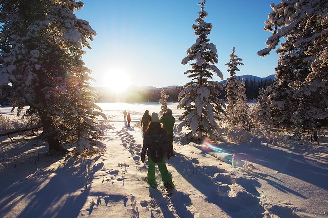 Yukon Snowshoeing Adventure | half day - What the 3.5-hour schedule feels like
